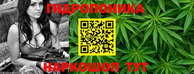 спайс Кунгур