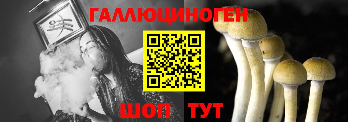 Псилоцибиновые грибы прущие грибы Ишимбай